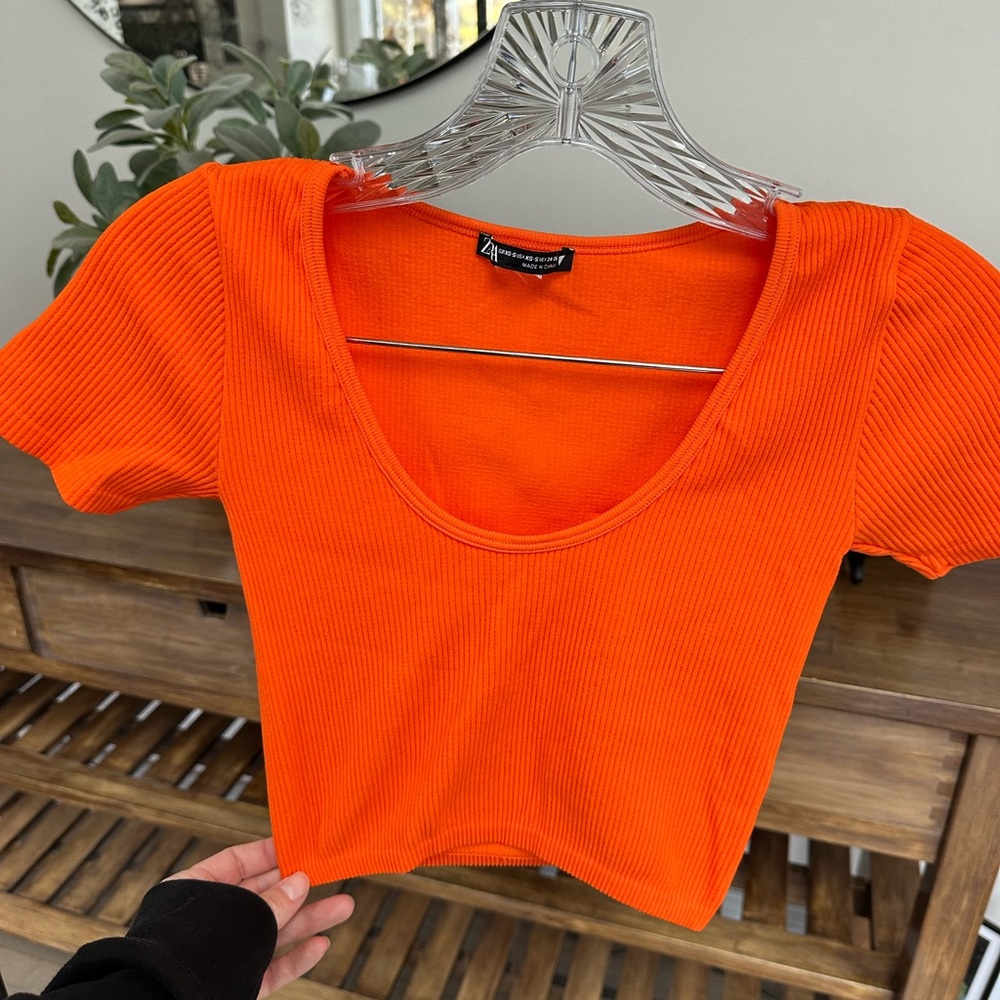 Zara Crop Top